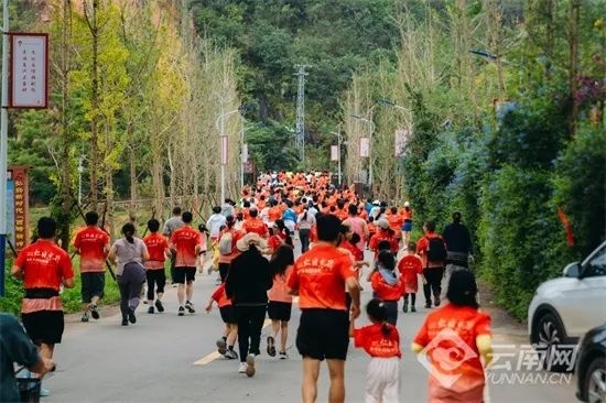 集红色教育, cSv, 刘明洁拿下