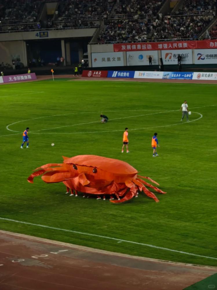 吉林, 实现了职业, 的跃迁 吉林, 实现了职业, 的跃迁