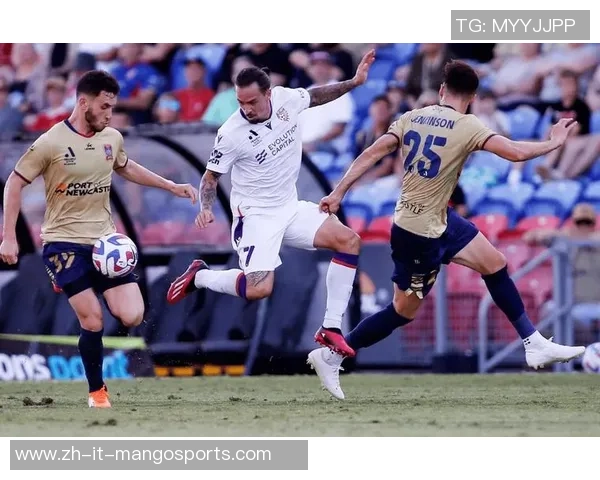 今天墨尔本对阵纽卡斯尔喷气机精彩赛事前瞻与分析